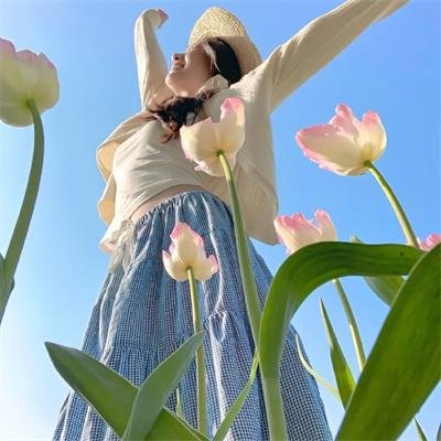 诚实的黄先生