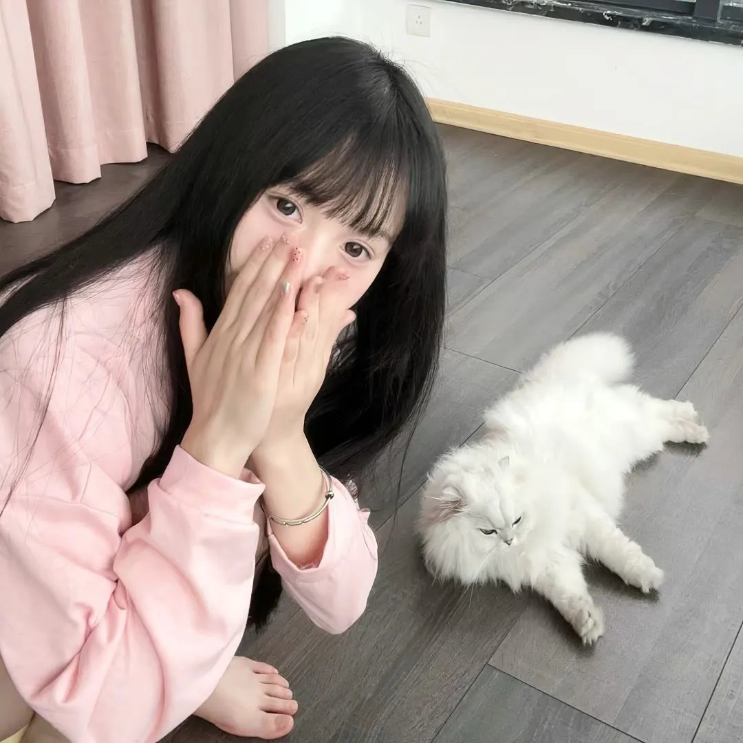 青春恋歌